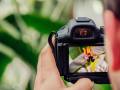 jamie-street-qWYvQMIJyfE-unsplash-imresizer