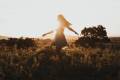 jackson-david-WUydTfaP3t4-unsplash-imresizer